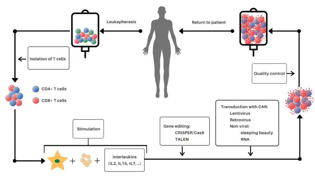 Personalized Cellular Immunotherapy