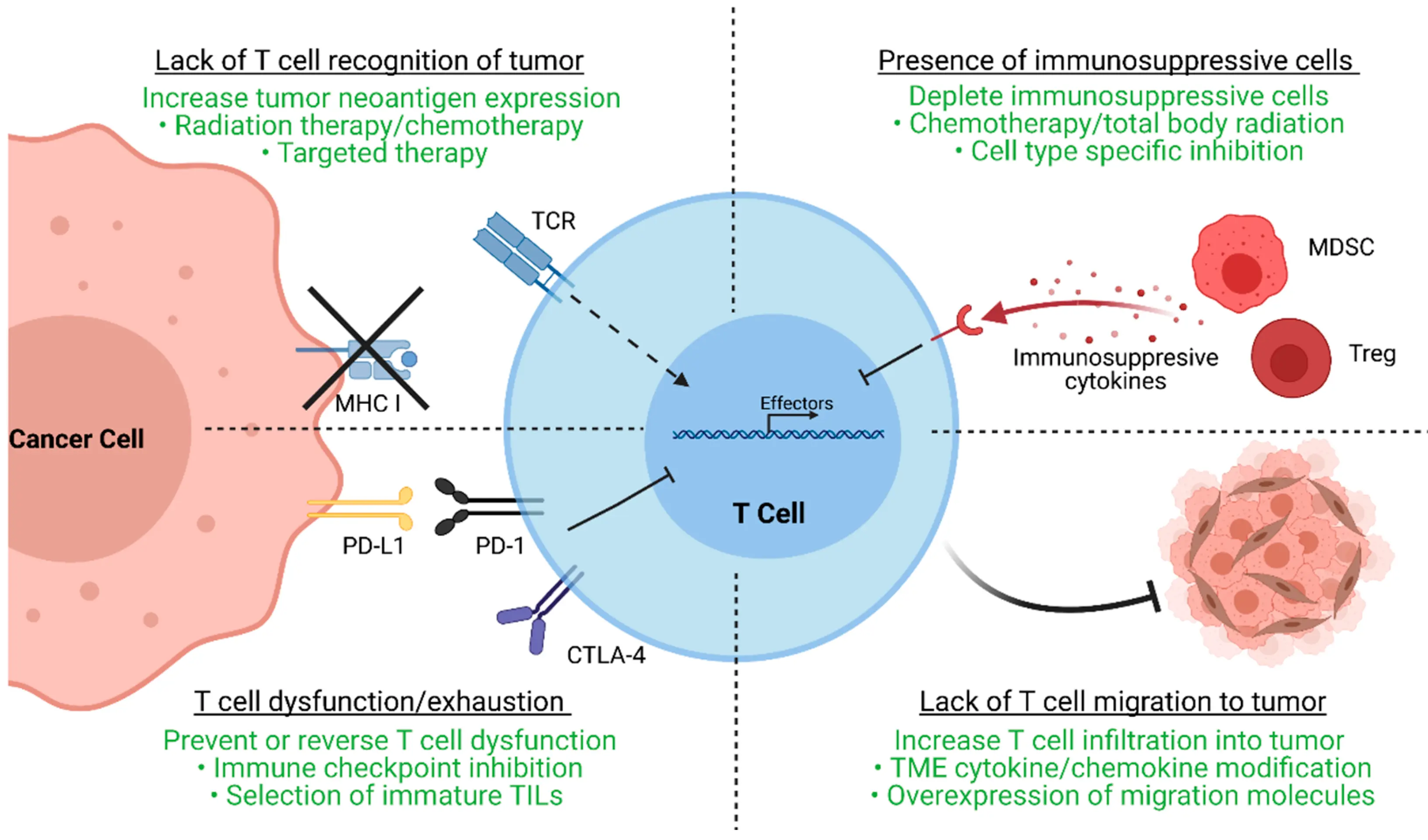 Adoptive T-Cell Therapy