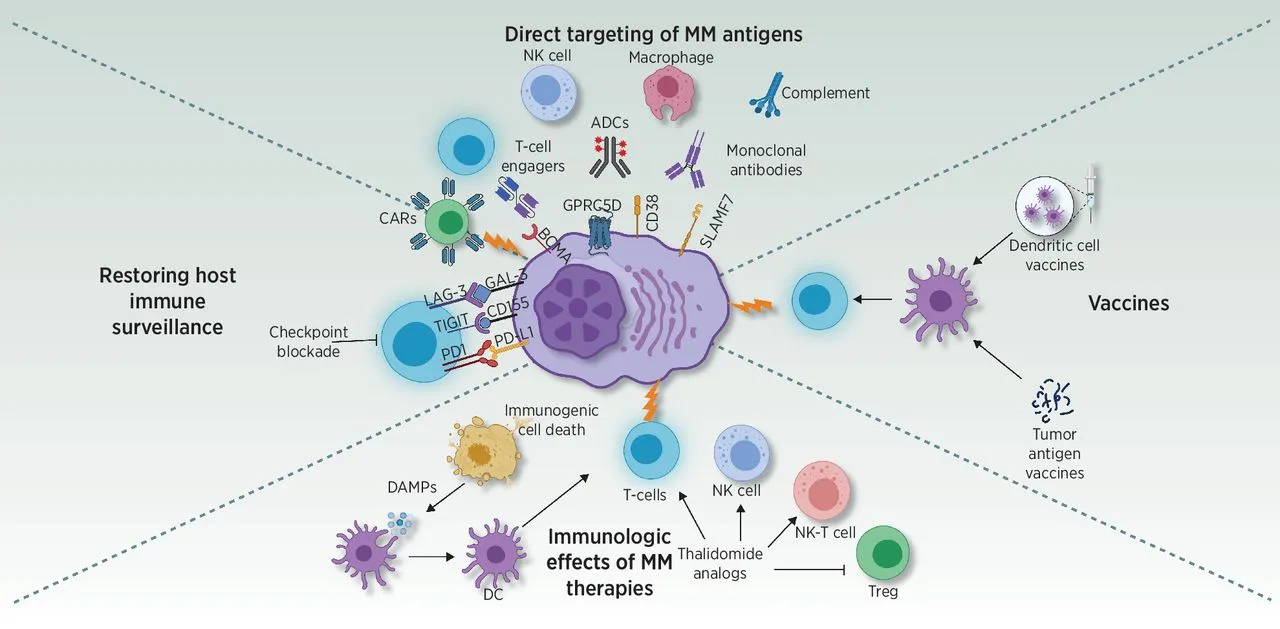 Immune Cell Therapies